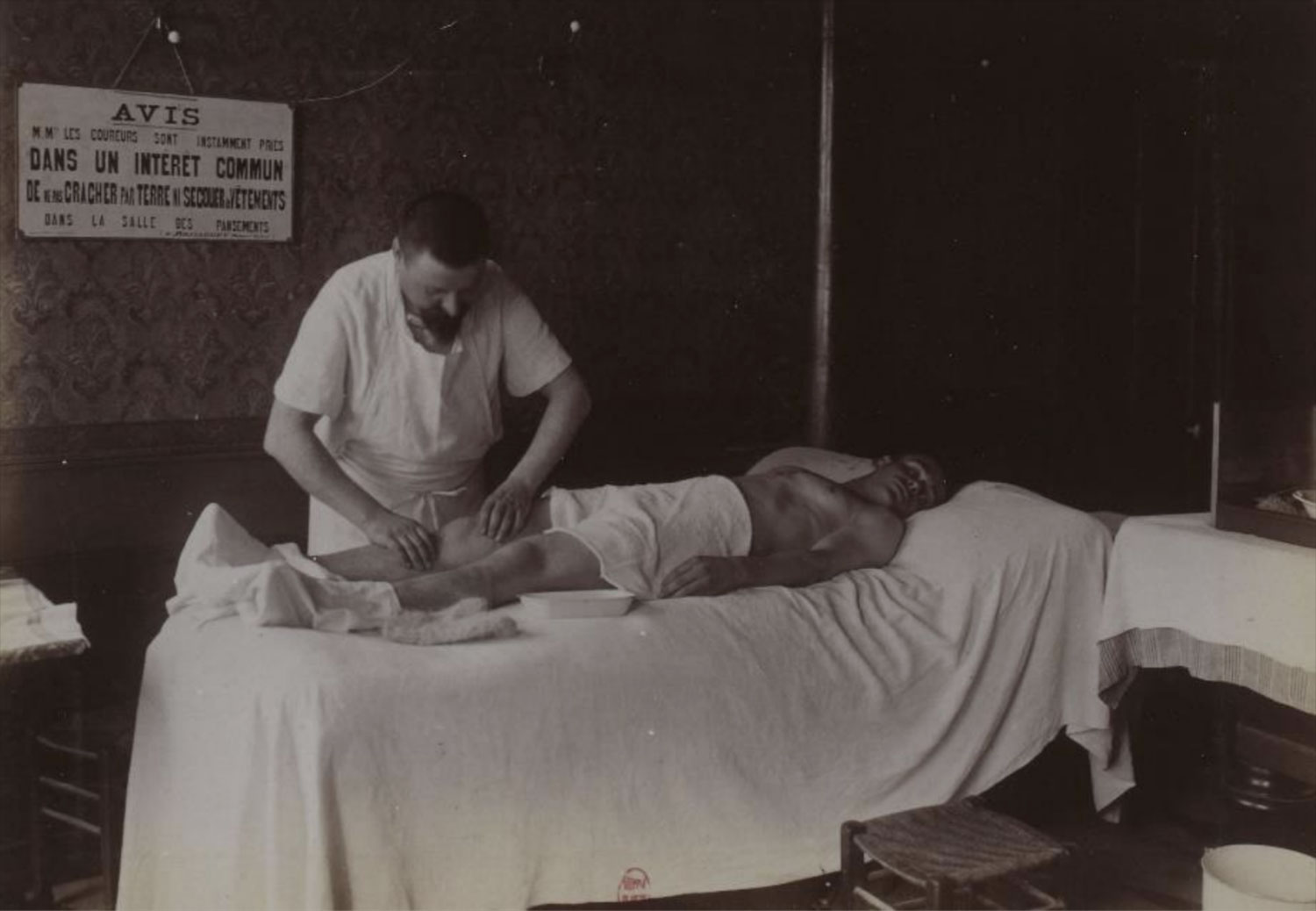 Création et évolution de la profession